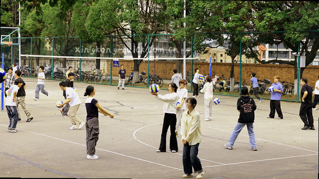 实时比分 对比取舍 数据看板
